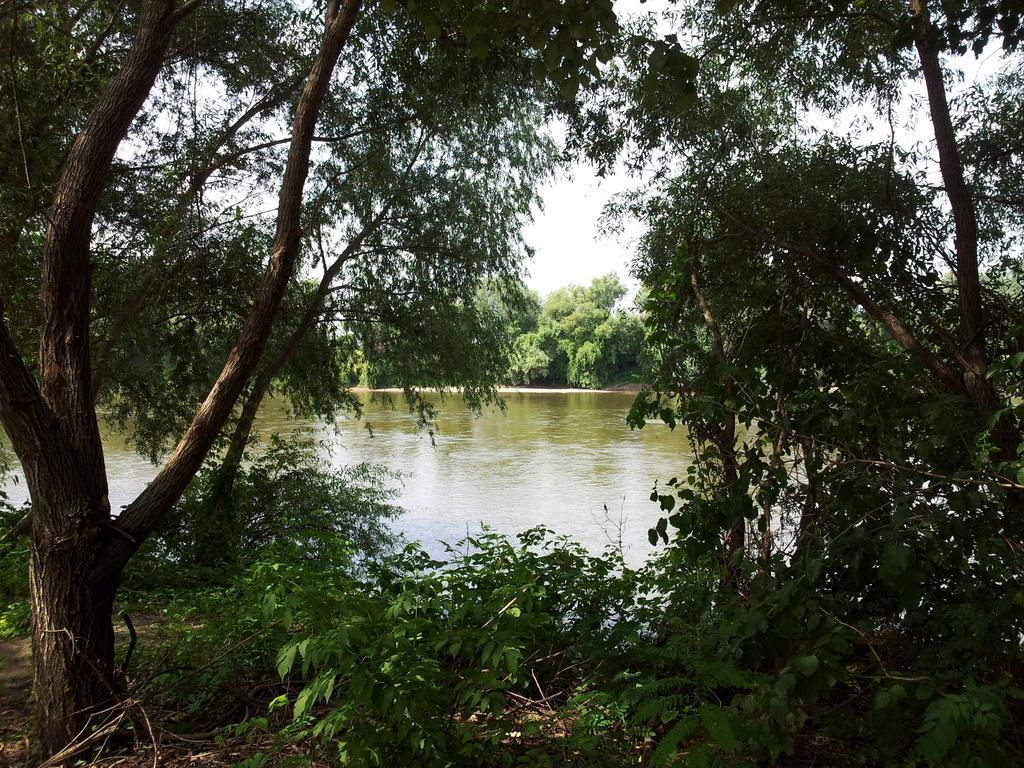 Pensiunea Lunca อาราด ภายนอก รูปภาพ