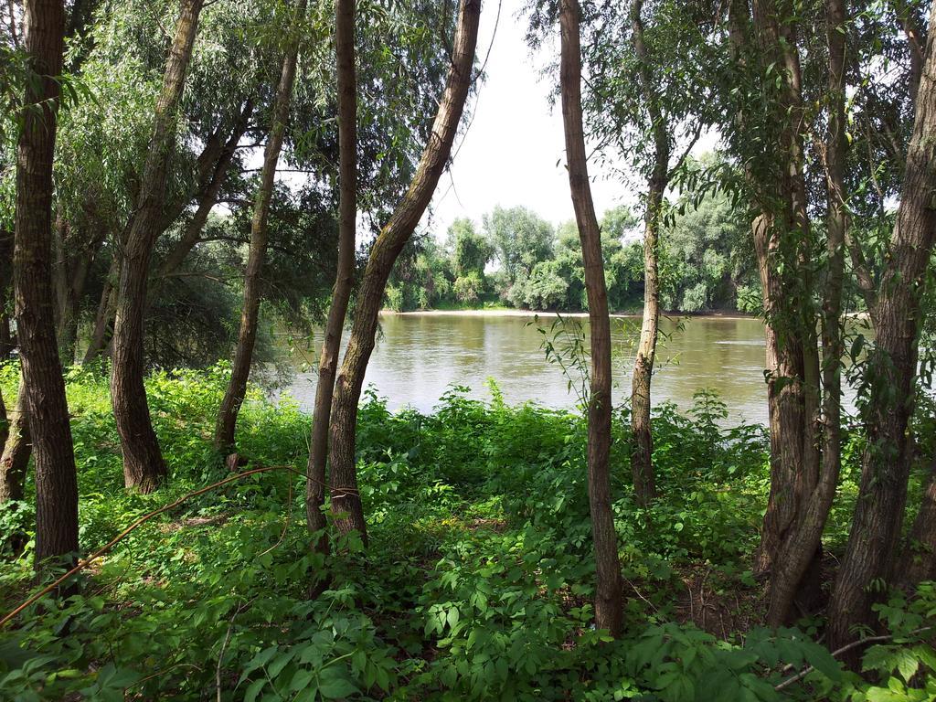 Pensiunea Lunca อาราด ภายนอก รูปภาพ